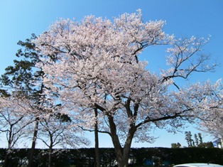 PICT0003.JPG