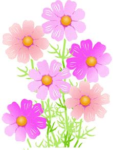 6cosmos.gif