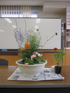 IMG_9270.JPG