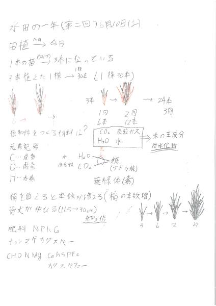 c2PV|.jpg