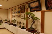 DSCF1071.JPG