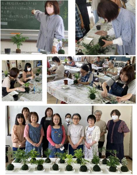 苔玉