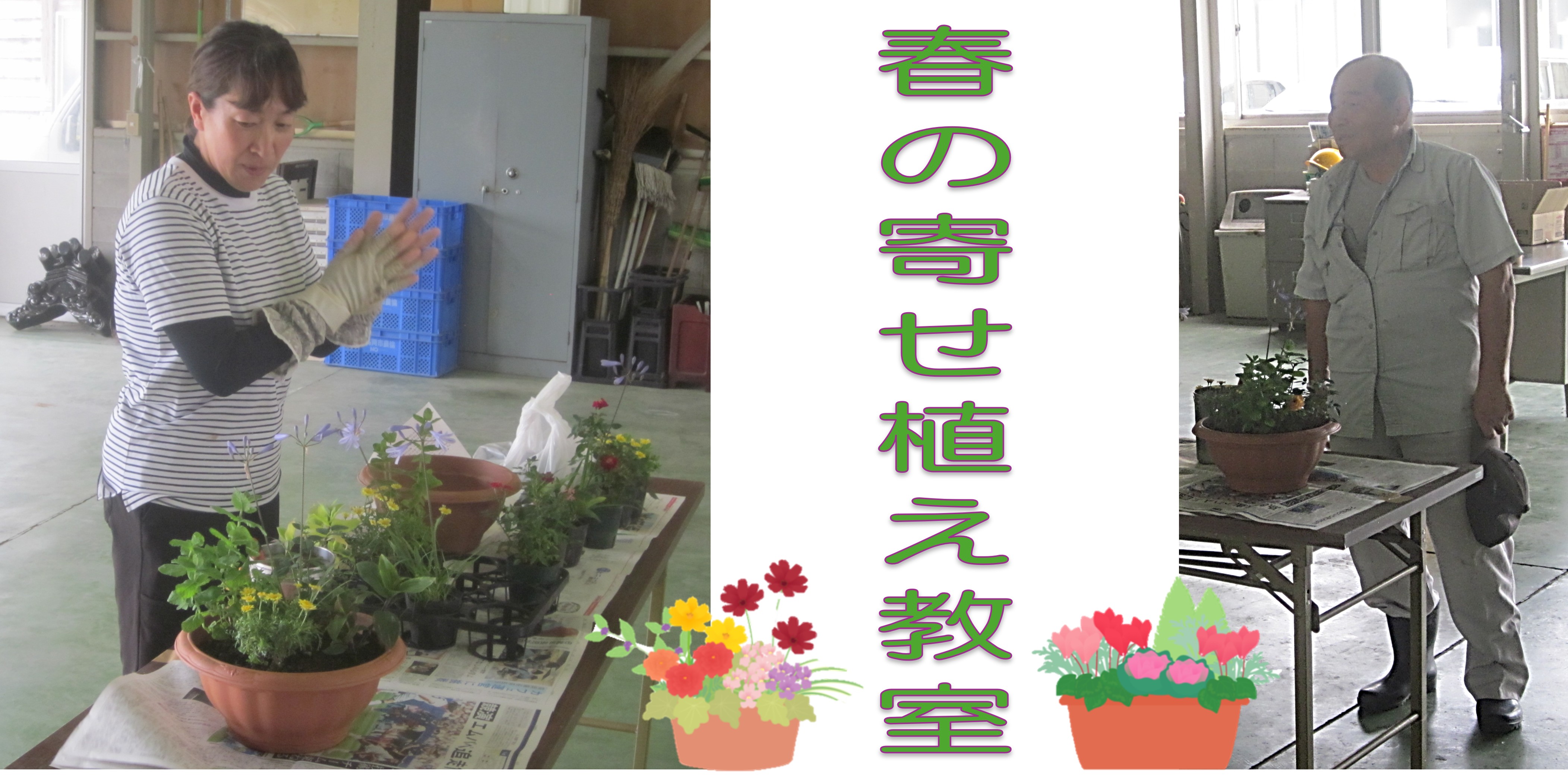 �摜�P