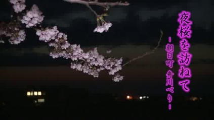 [470] 140410 夜桜を訪ねて ～朝日町　舟川べり～