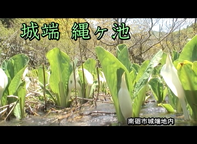 城端 縄ヶ池 南砺市城端地内