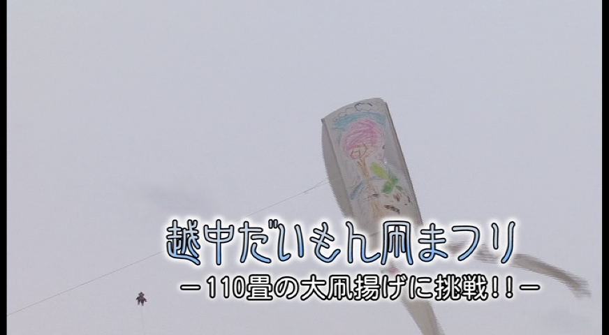 越中だいもん凧まつり −110畳の大凧揚げに挑戦!!−