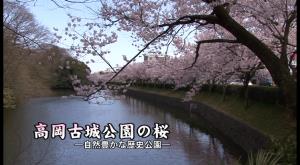 [338] 080404 幽玄ちんどん夜桜流し