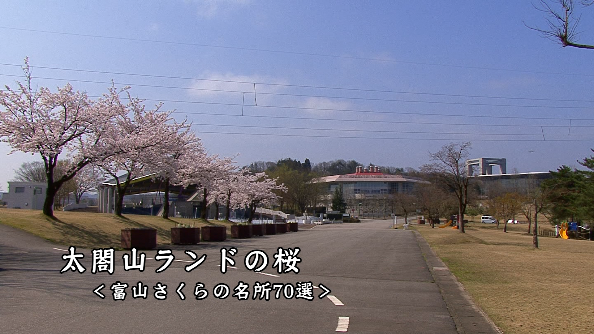 [446] 120419 太閤山ランドの桜