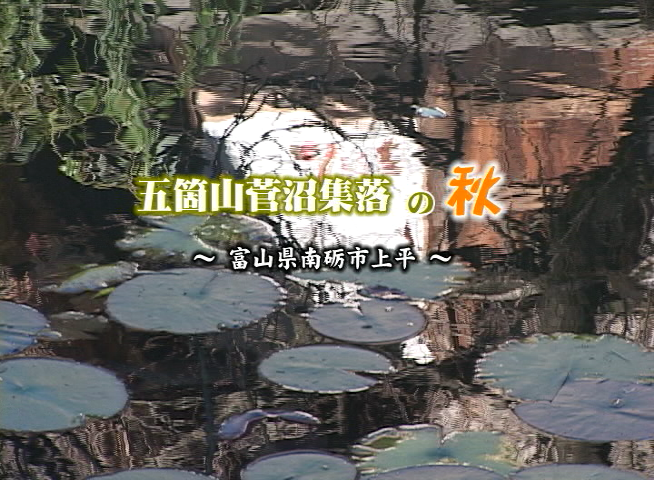 五箇山菅沼集落の秋 〜富山県南砺市 上平〜