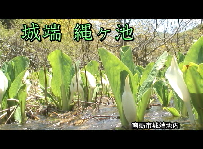 城端　縄ヶ池