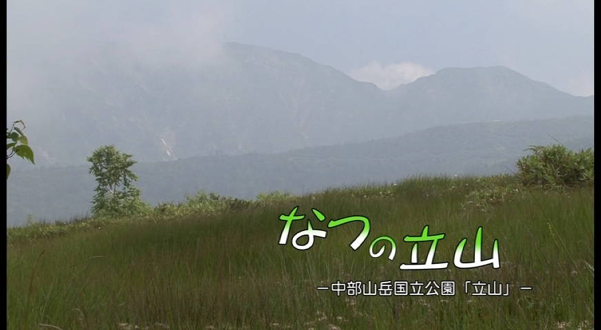 なつの立山 −中部山岳国立公園「立山」−