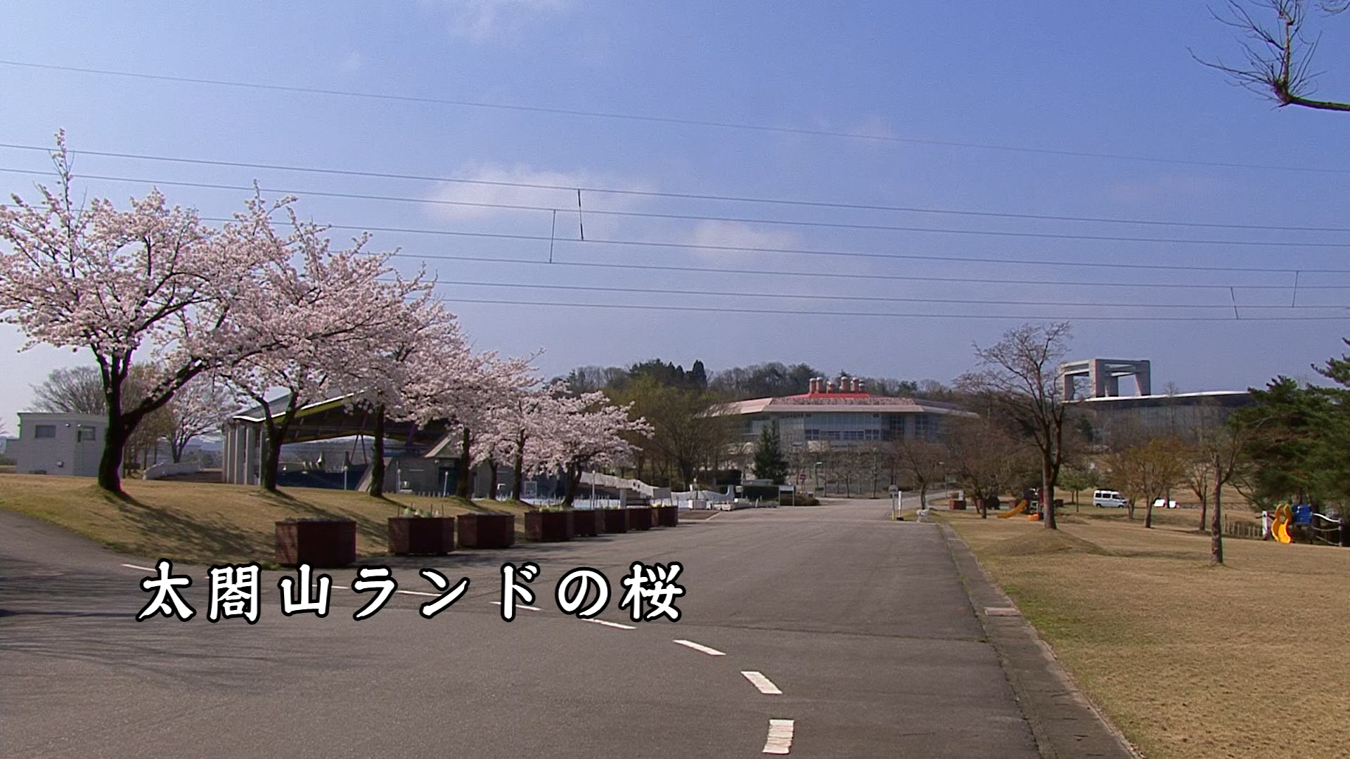 [471] 120419 太閤山ランドの桜