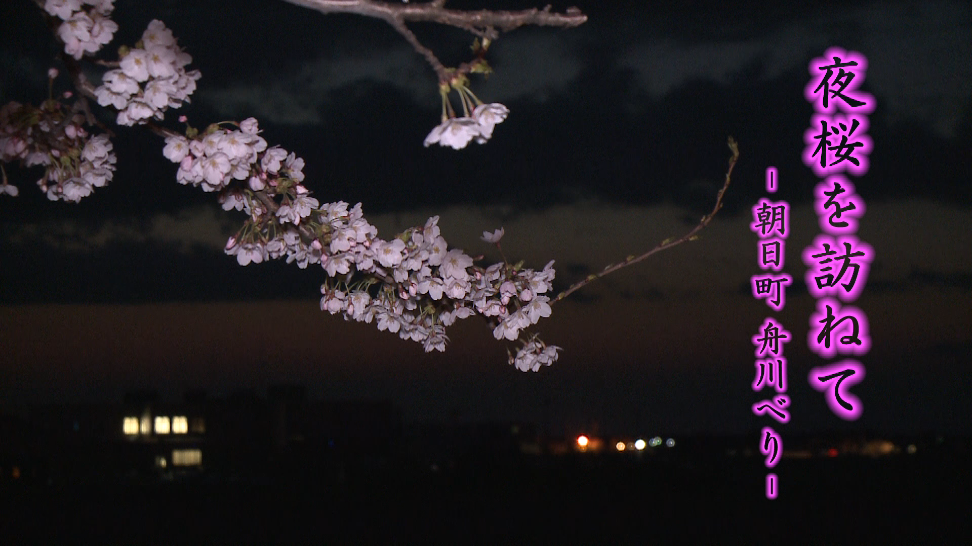 [470] 140410 夜桜を訪ねて 〜朝日町　舟川べり〜