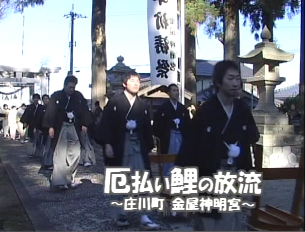 厄払い鯉の放流 〜庄川町 金屋神明宮〜