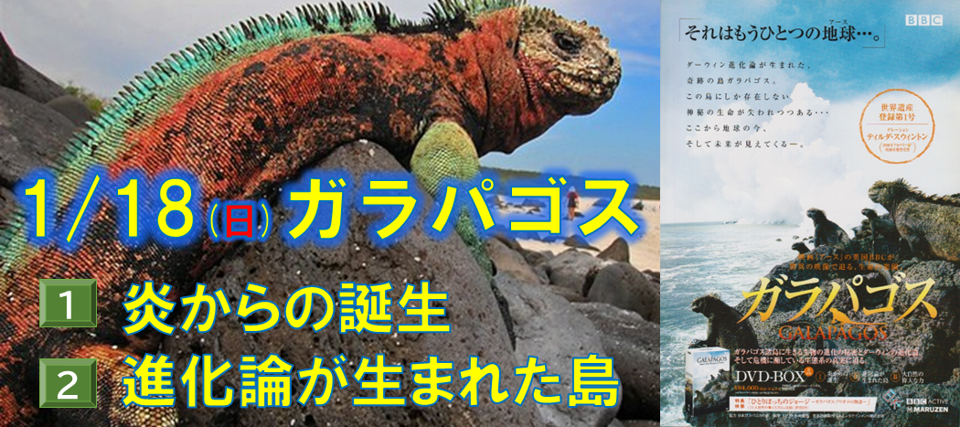 わくわくシアター