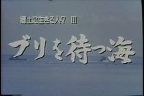 郷土に生きる人々Ⅲ ブリを待つ海