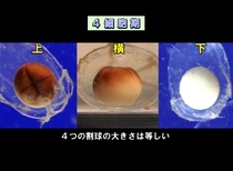 作品の一場面 (2)