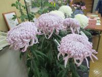 IMG_1954.JPG