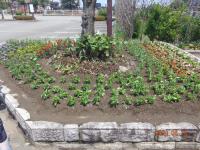DSC03185-min.JPG