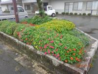 DSC03252-min.JPG