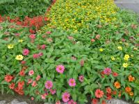 DSC03253-min.JPG