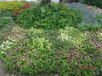 DSC03254-min.JPG