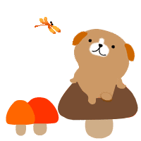 image1326.gif