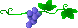 image2535.gif