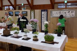 DSCF1254.JPG