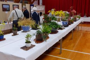 DSCF1260.JPG