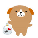 .gif