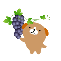 image1325.gif