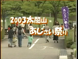 太閤山あじさい祭り2003