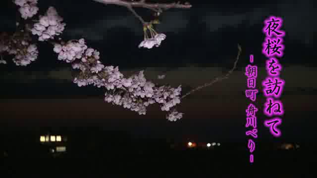[470] 140410 夜桜を訪ねて ～朝日町　舟川べり～