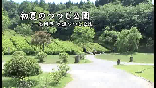 [390] 110607 初夏のつつじ公園
