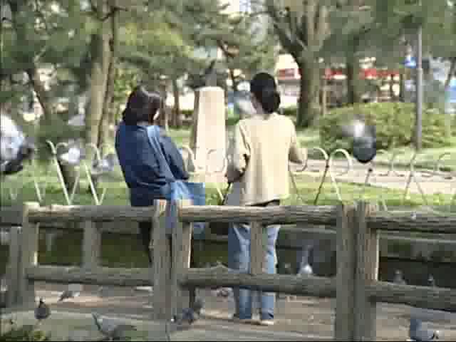 春の富山城址公園1