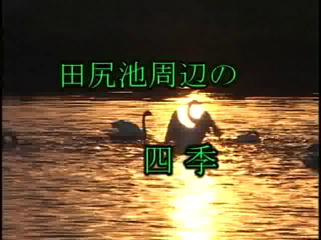 田尻池周辺の四季 | 平成14年度「ふるさと発見！ビデオコンテスト」ビデオグランプリ