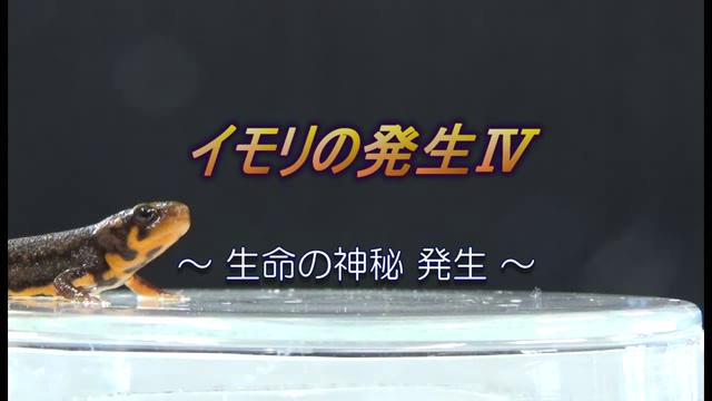 イモリの発生Ⅳ～生命の神秘　発生～ [更新版]｜平成27年度「とやま映像コンクール 自作視聴覚部門」学校教育の部　優秀賞