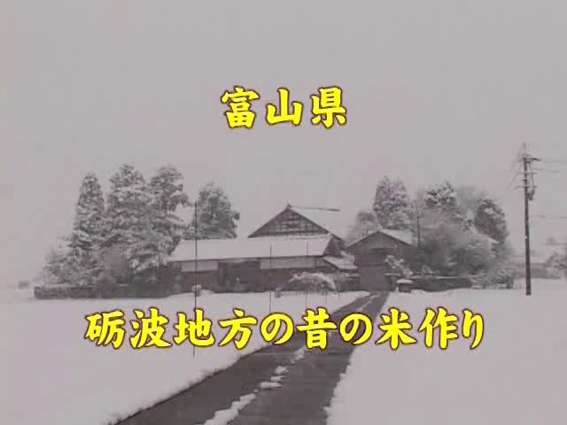 富山県砺波地方の昔の米作り｜平成28年度「とやま映像コンクール 自作視聴覚部門」優秀賞