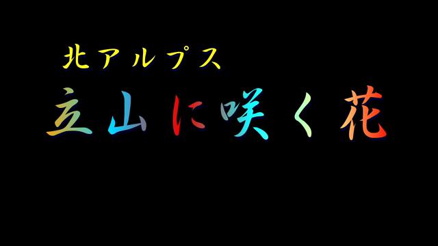 北アルプス立山に咲く花｜平成29年度「とやま映像コンクール ふるさと部門」優良賞