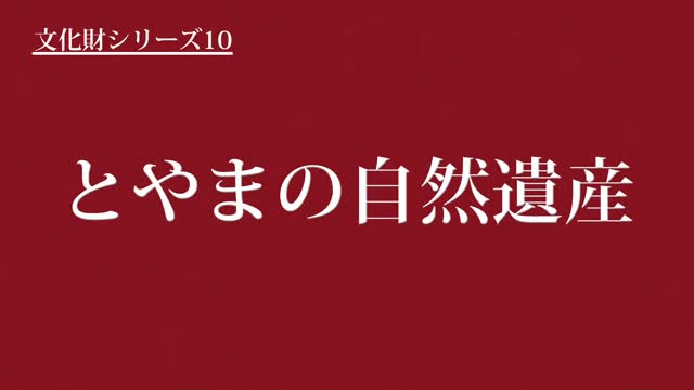 文化財シリーズ11　とやまの自然遺産