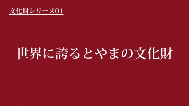 文化財シリーズ01　世界に誇るとやまの文化財