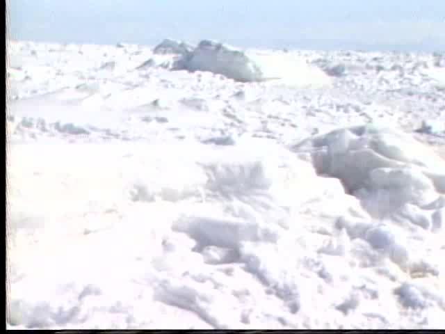 網走海岸の流氷