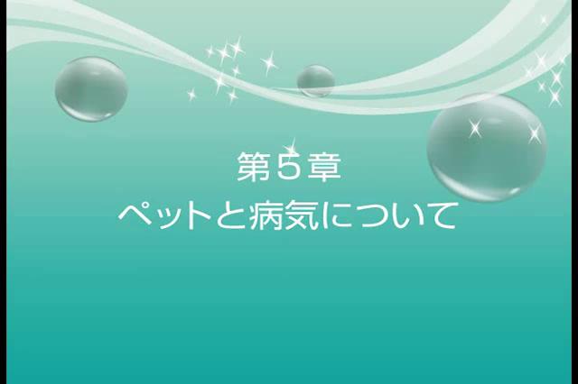 緊急時の対応と子ども達の事故予防　第5章　ペットと病気について