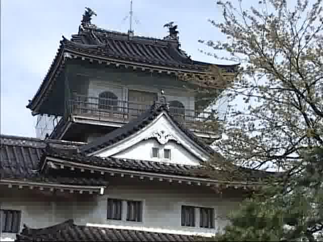 春の富山城址公園2