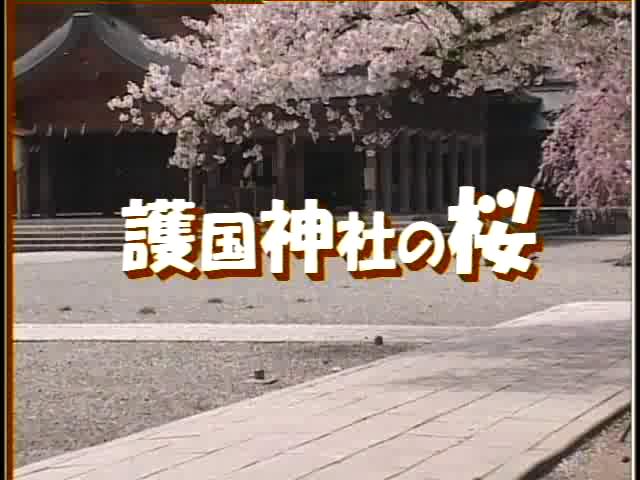 [005] 030415 護国神社の桜