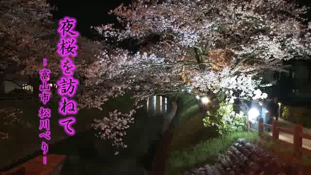 [469] 140409 夜桜を訪ねて　～富山市　松川べり～