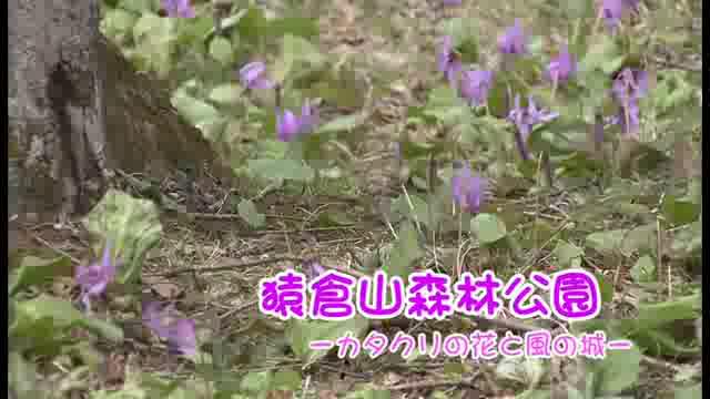 [335] 100409 猿倉山森林公園