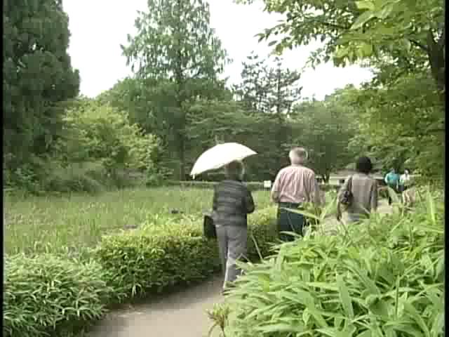 花しょうぶ