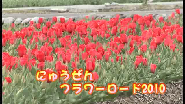 [332] 100416 にゅうぜんフラワーロード2010